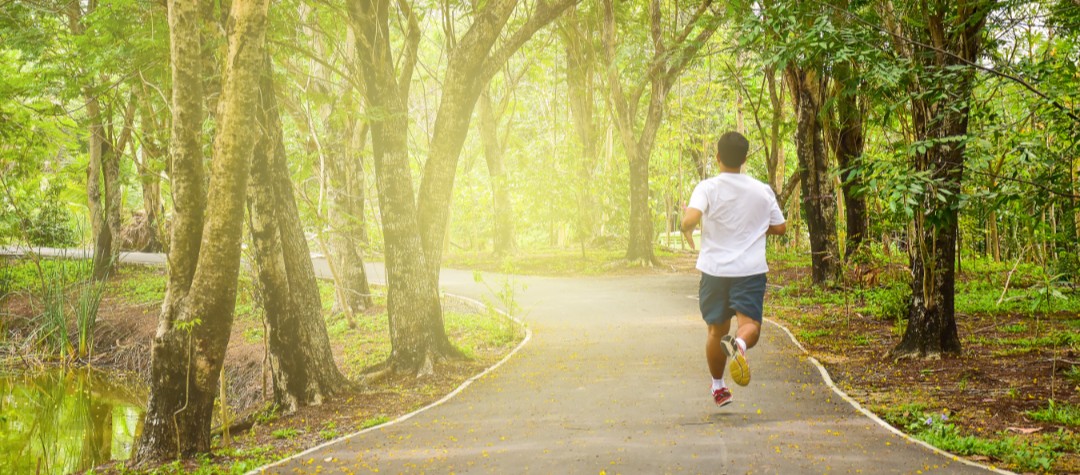 Training Plan For Complete Running Beginners