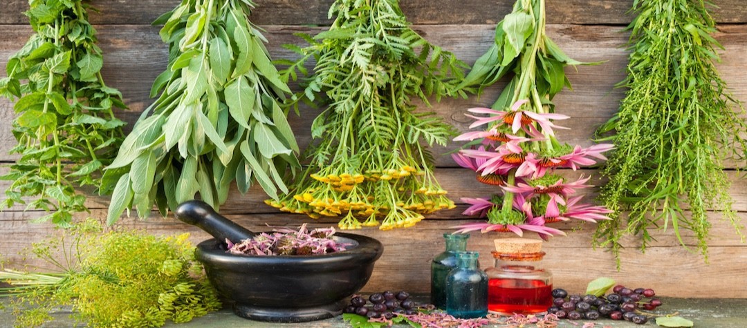 Guide To Herbal Medicine