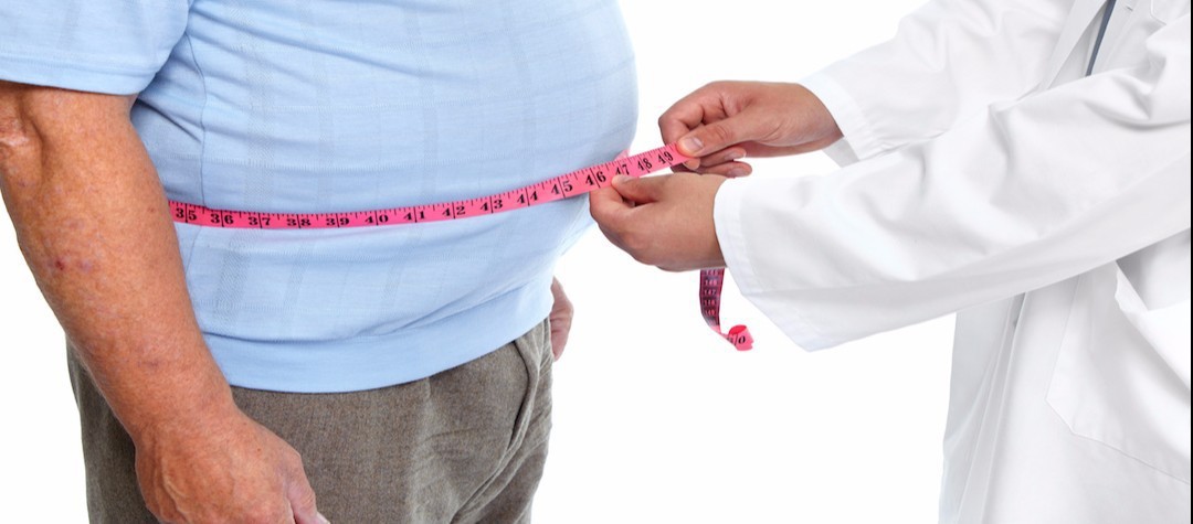 Obesity Health Risk And Facts