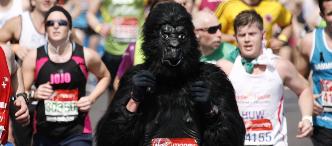 Insight Into The Fancy Dress Runner