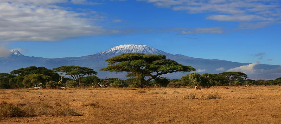 Kilimanjaro Trekking Experience