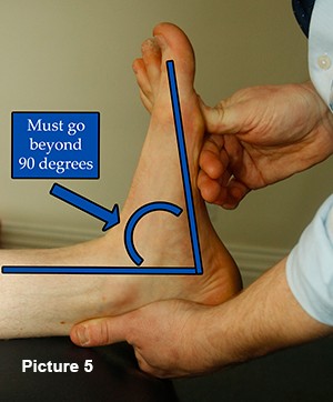 Calf length test Calf length test