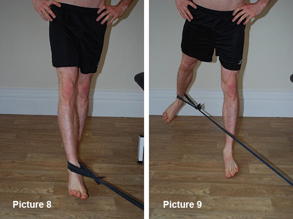 Gluts 45 degree abduction start point and end point Gluts 45 degree abduction start point and end point