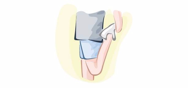 Quadriceps (front of thigh) Quadriceps (front of thigh)