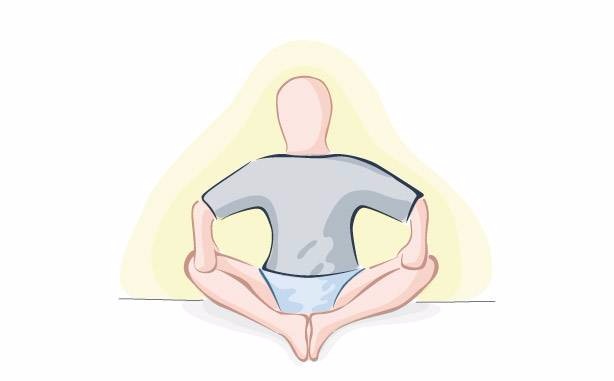 Adductors (groin) Adductors (groin)