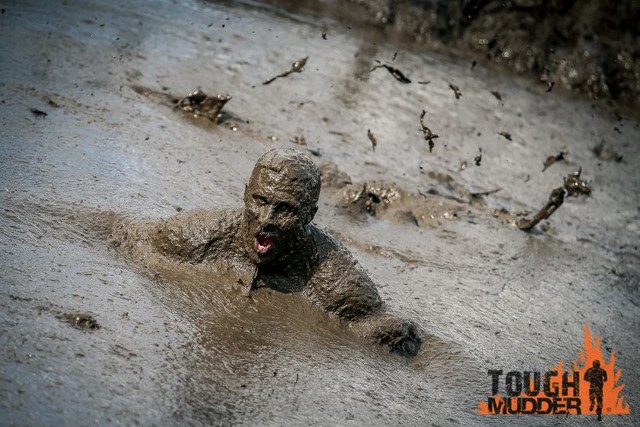 Submerged in mud. Submerged in mud.