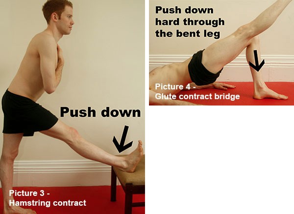 Hamstring contract and Glute contract bridge Hamstring contract and Glute contract bridge